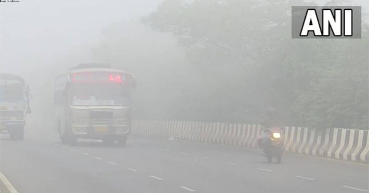Odisha: Mercury fall in Bhubaneswar results in lower visibility, fog